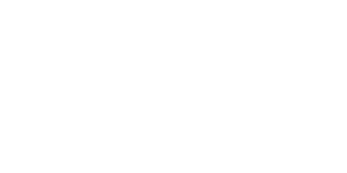 LPI 500x250